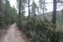 Descente du Vinaigre